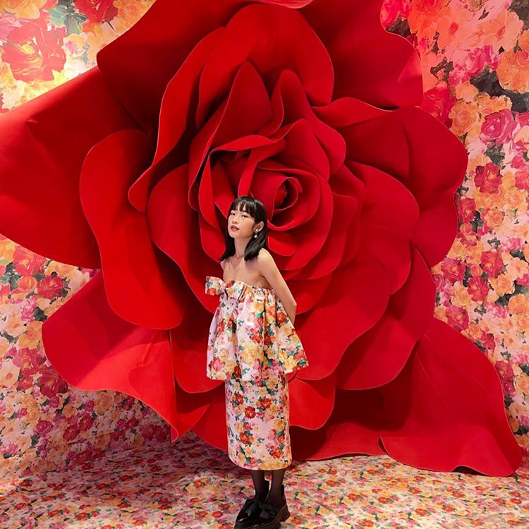 Giant Rose bakgrunnsrekvisitter